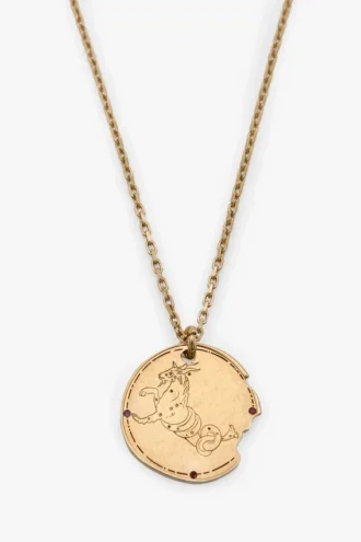 Naszyjnik z symbolem znaku zodiaku Koziorożec